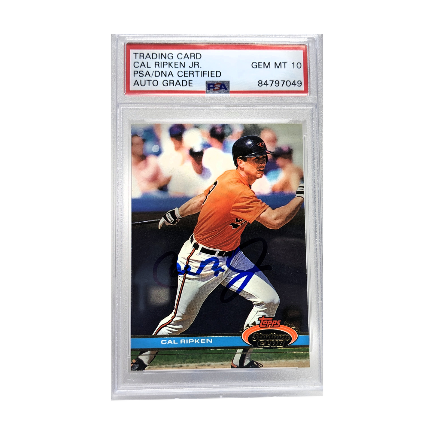 Cal Ripken Jr 1991 Topps Stadium Club Autographed Card PSA Gem Mint 10 Auto
