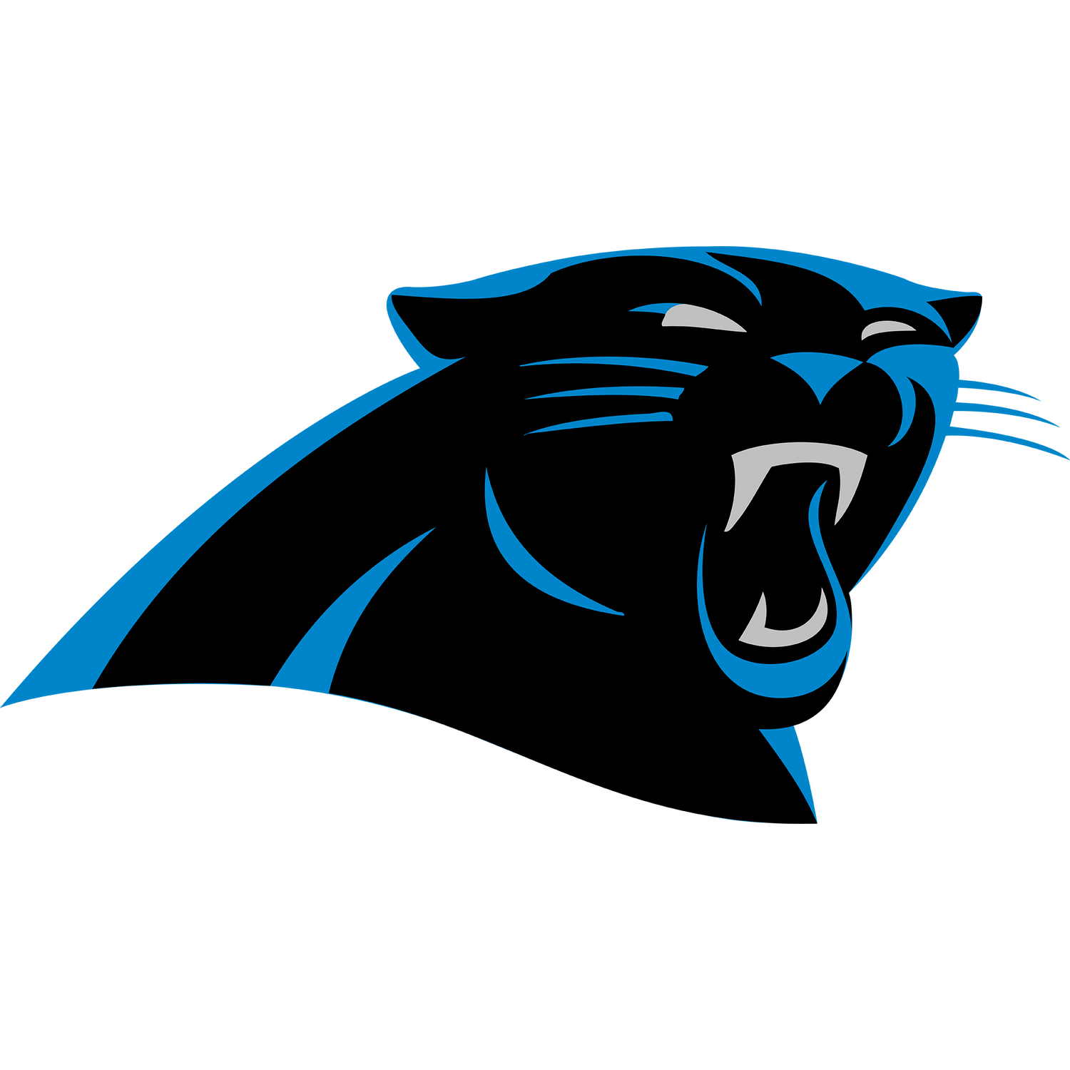 Carolina Panthers
