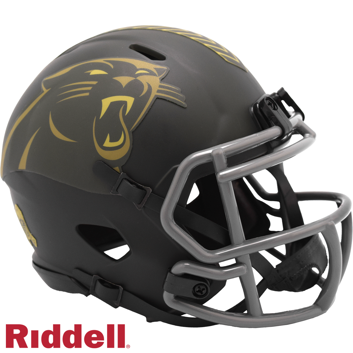 Panthers STS25 Mini Football Helmet #8059912