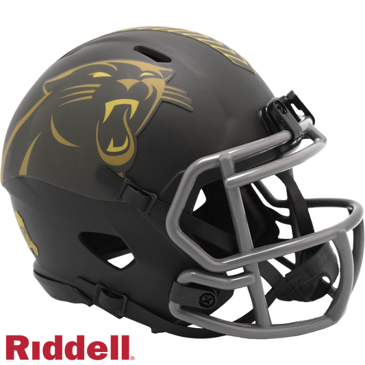 Panthers STS25 Mini Football Helmet #8059912