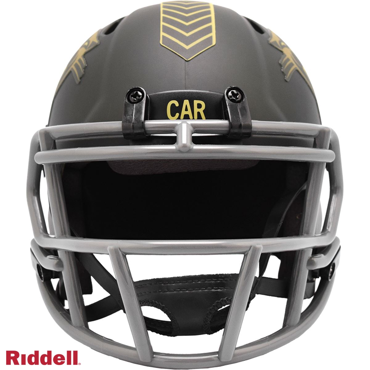 PANTHERS  - 25STS SPEED Mini Helmet FOOTBALL HELMET - 8059912