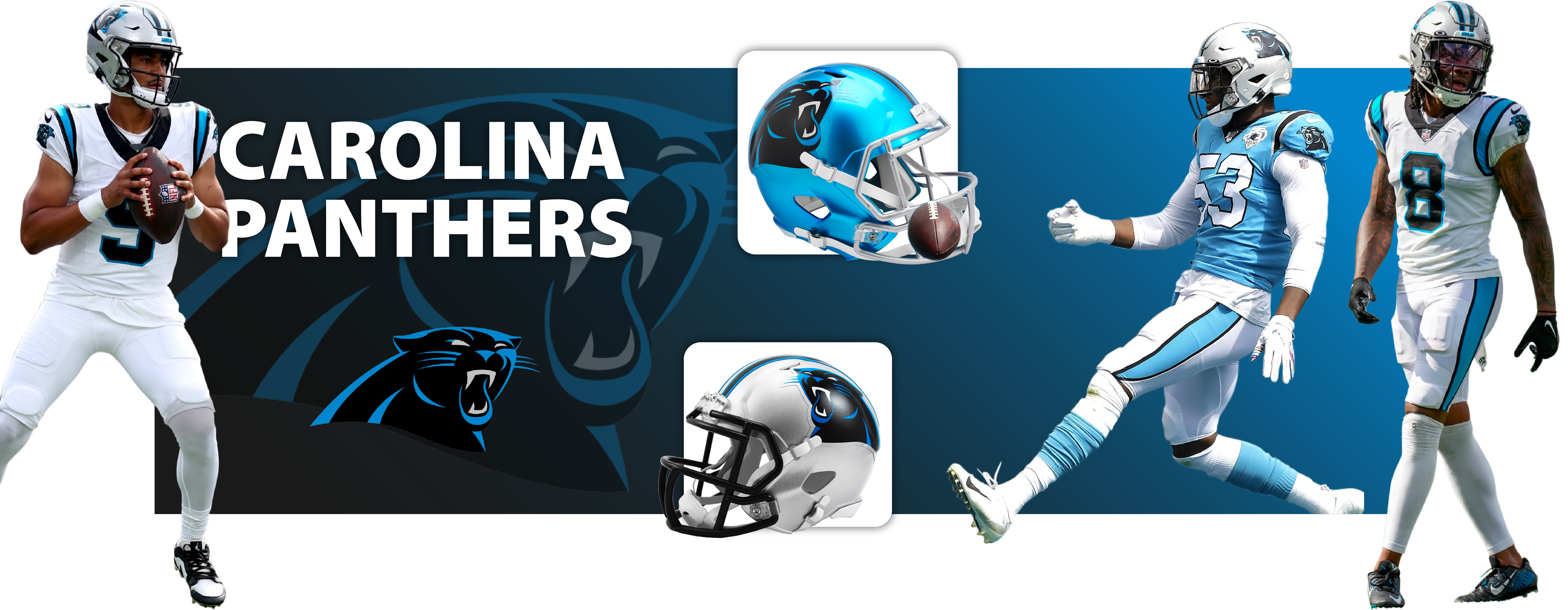 Carolina Panthers On-Field Alternate Full Size Speed Authentic Pro-Lin –  Creative Sports